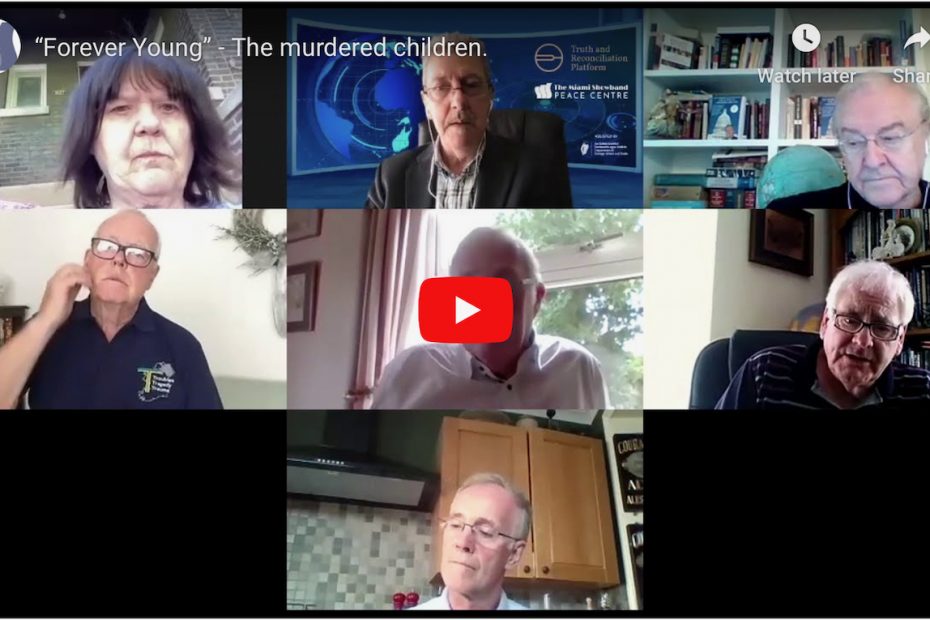 Screenshot from the Zoom panel with Witnesses Michael O'Hare and Michael Gallagher